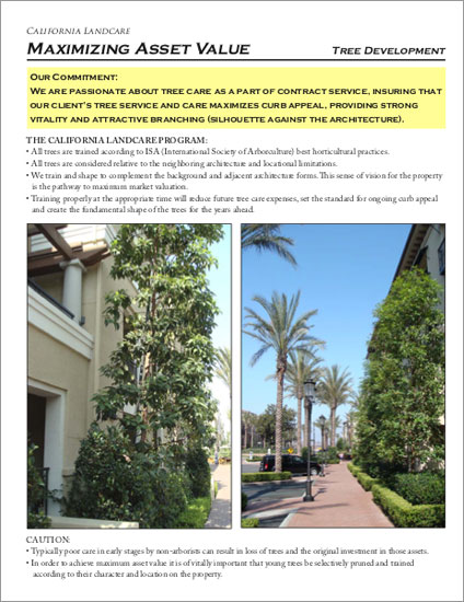 California Landcare - Tree Development